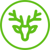 Пантовая продукция  Pantogreen