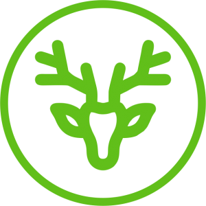 Пантовая продукция  Pantogreen <sup>34</sup>